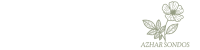 مندوب المتجر
