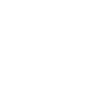 باسقات النخيل