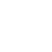 زونا