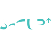 SETUP