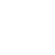 BD Perpetual