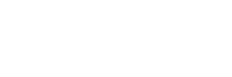 Logo Store