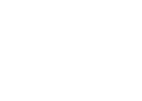 Logo Store