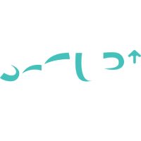 SETUP