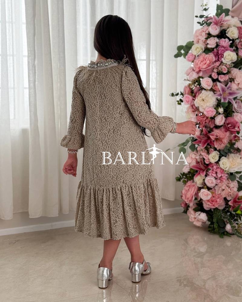 A girl's dress decorated with crystals and feathers at the neckline