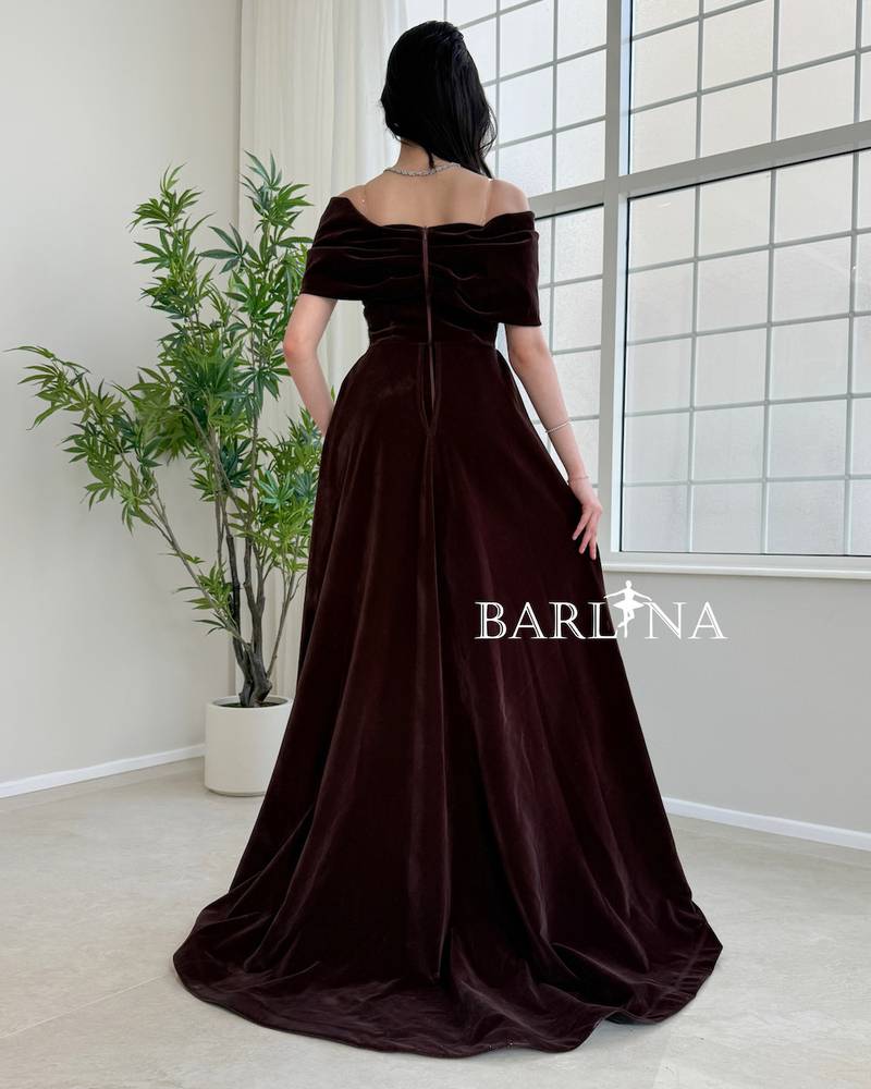 Brown velvet dress with sequin and feather details