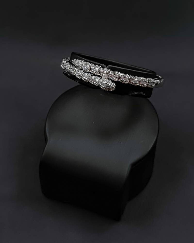Snake-themed bracelet and ring
