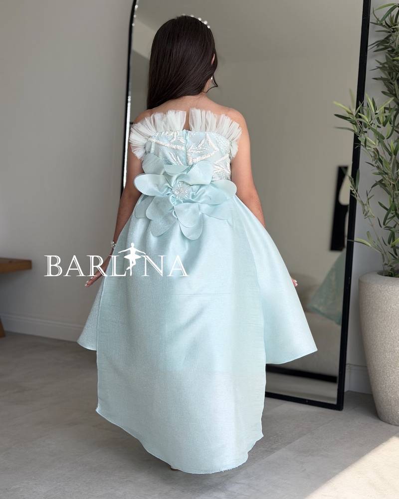 Girls' sky blue dress with shiny gold embroidery