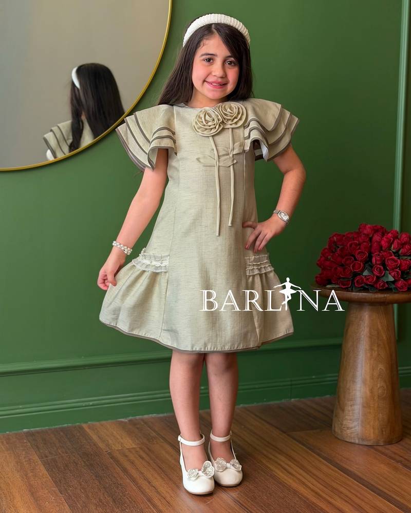 Girls' dress with butterfly sleeves and ruffles