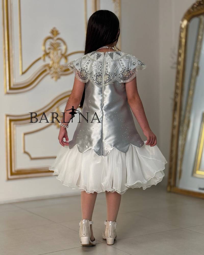 Girls' silver glitter dress with embroidered collar