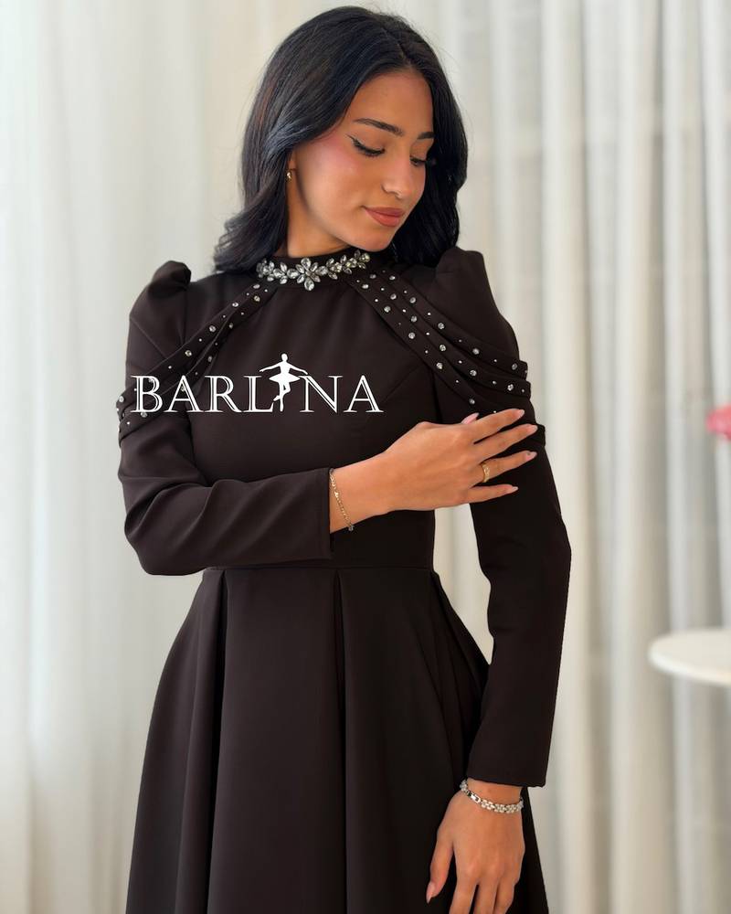 Long brown dress with shimmering details at the collar