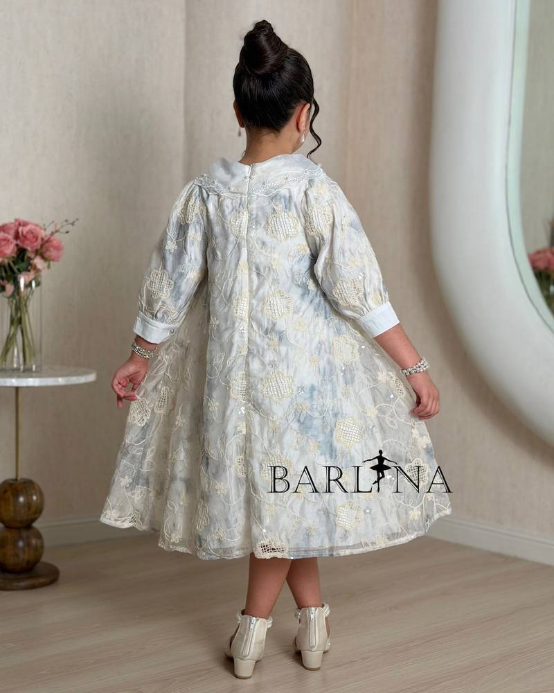 A girl's dress adorned with elegant embroidery