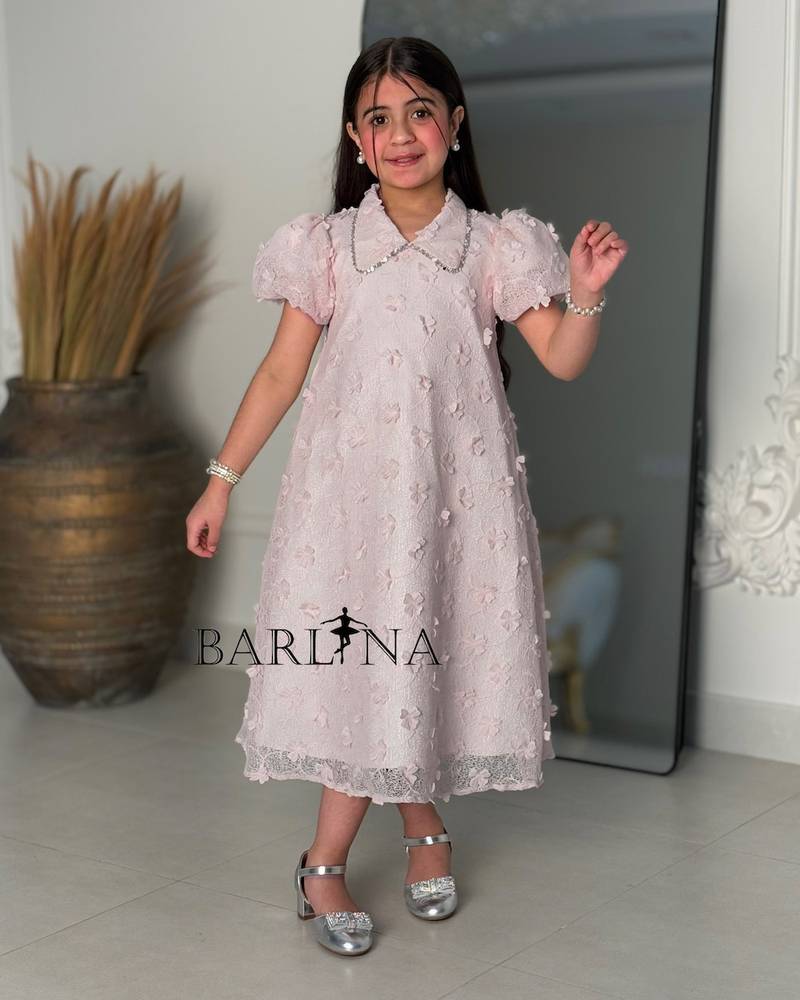 A light pink dress with delicate, elegant embroidery.