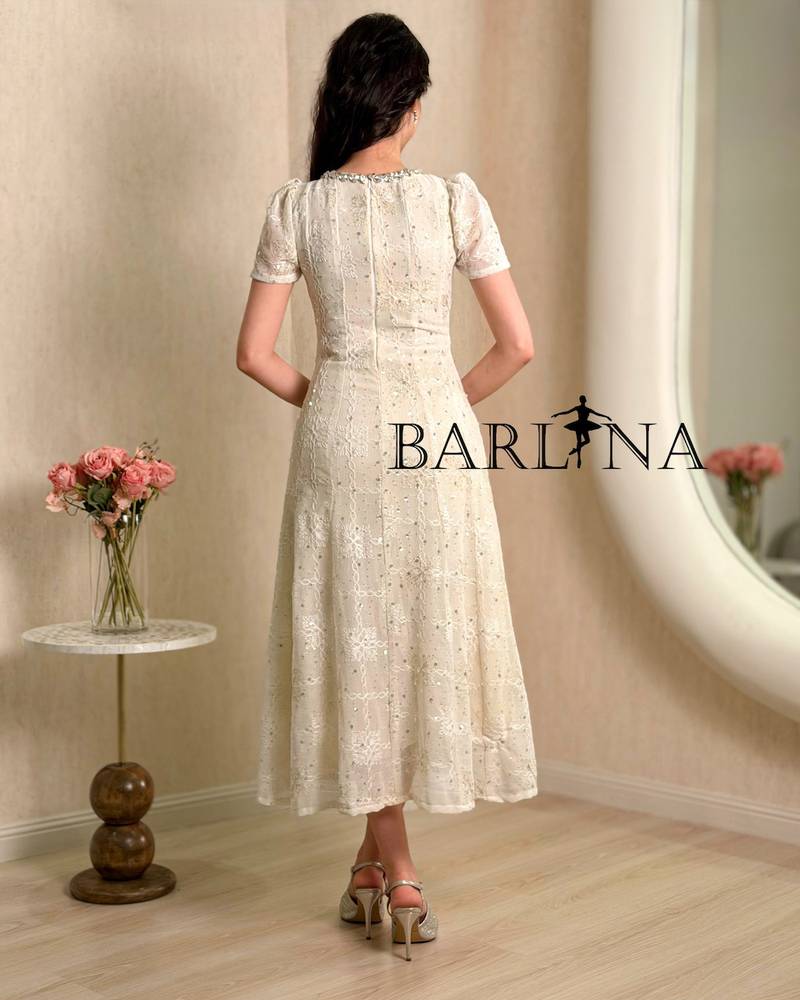 A soft and elegant dress embroidered with sequins