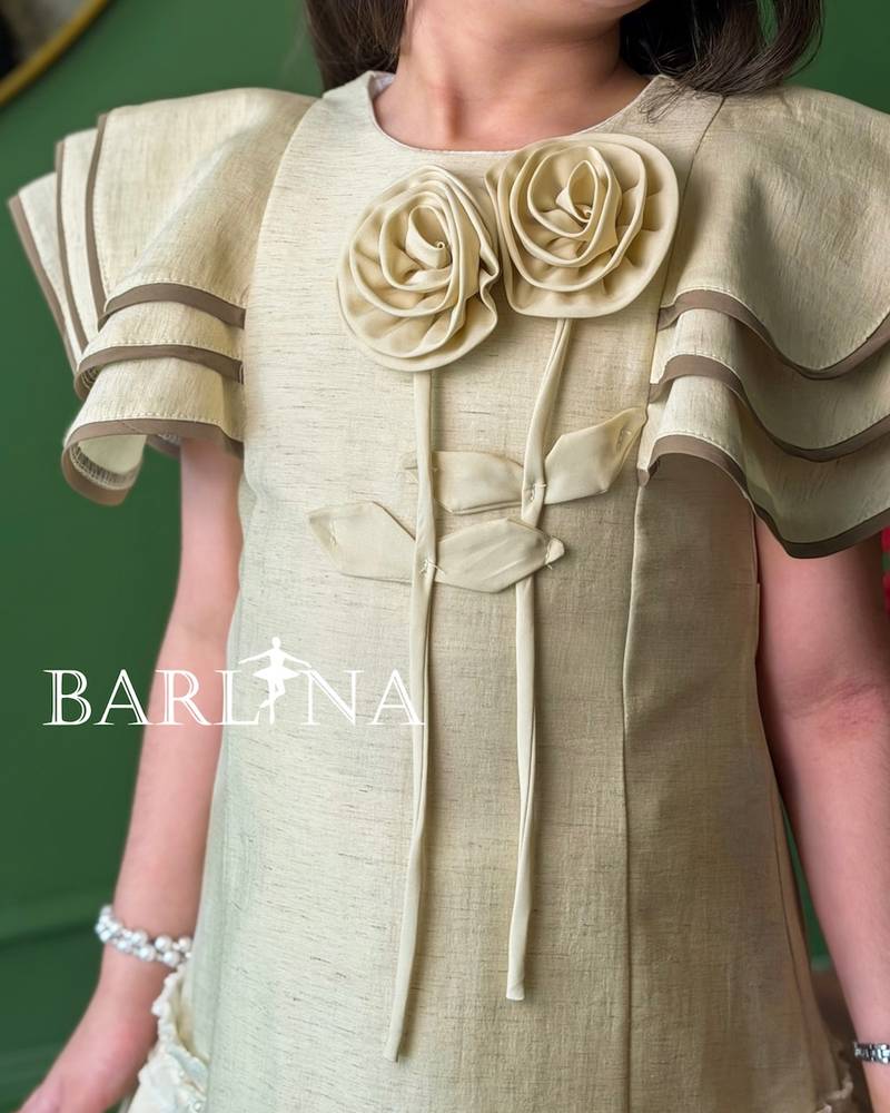 Girls' dress with butterfly sleeves and ruffles