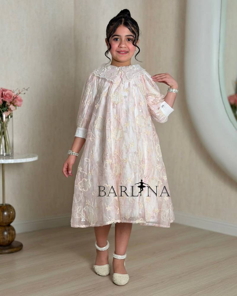A girl's dress adorned with elegant embroidery