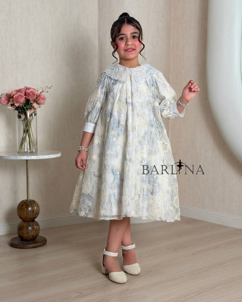 A girl's dress adorned with elegant embroidery