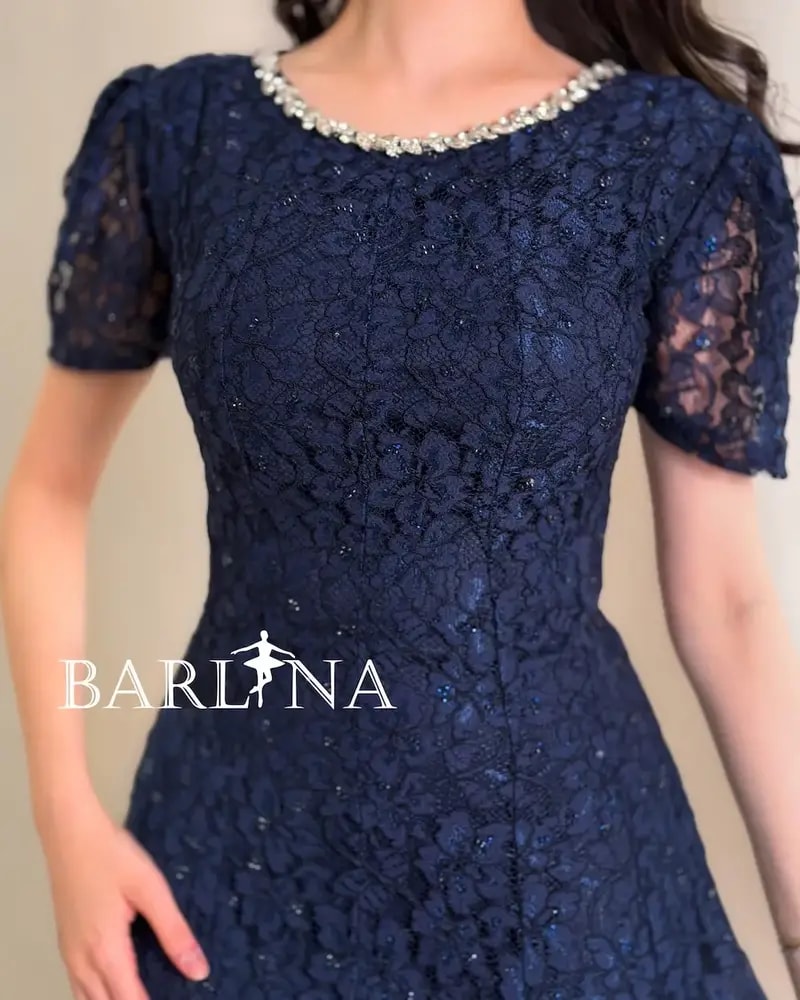 Navy blue dress with crystal embroidered neckline