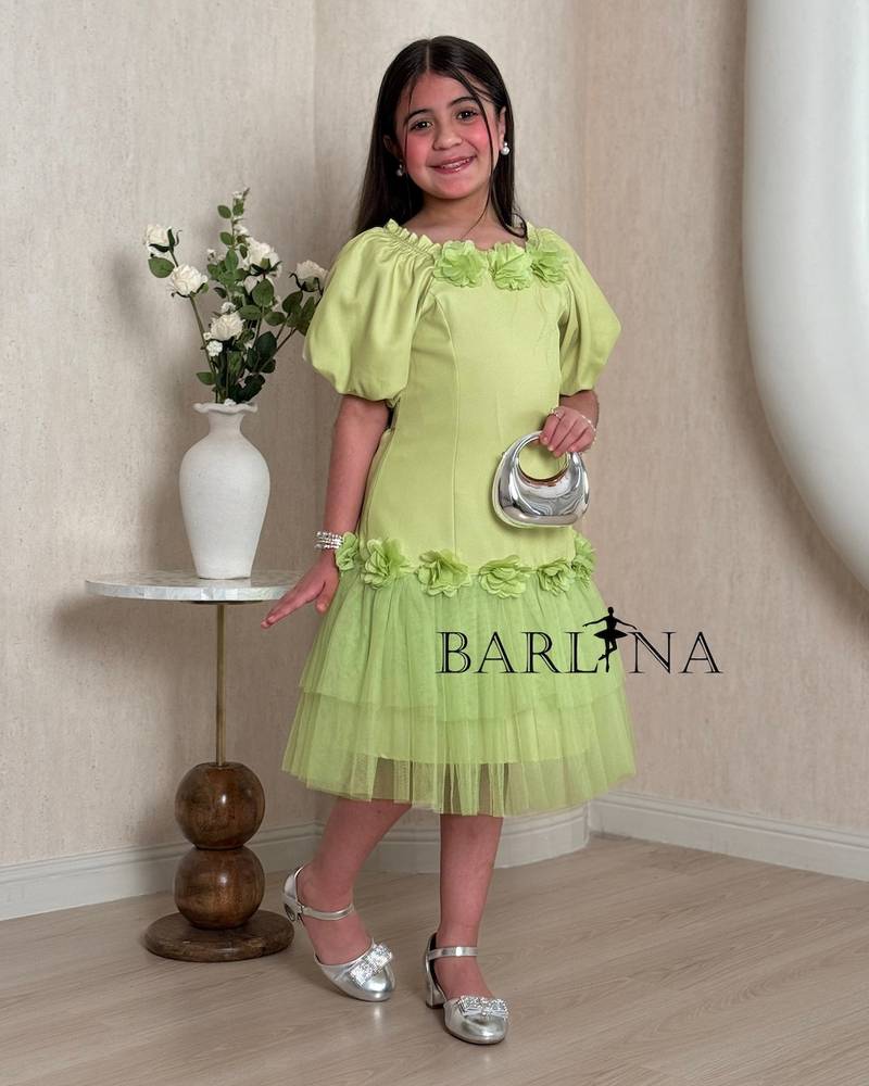 A soft girl's dress with prominent roses at the collar
