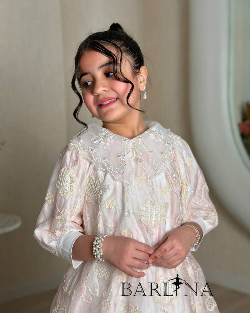 A girl's dress adorned with elegant embroidery