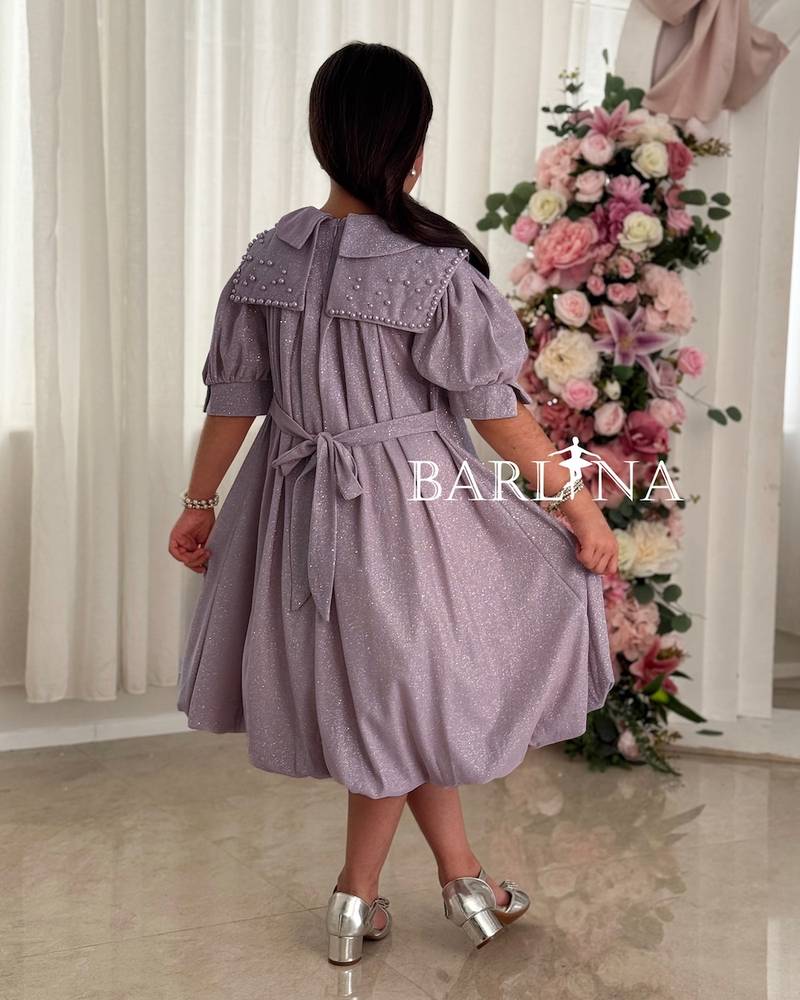A sparkly girl's dress with a wide embroidered collar