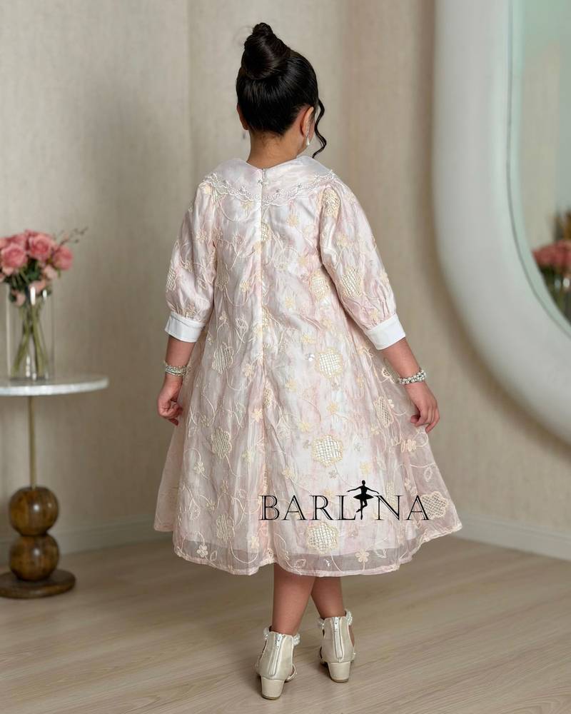 A girl's dress adorned with elegant embroidery