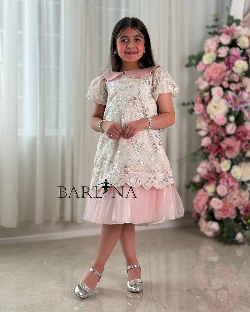 A girl's dress with elegant embroidery and a soft pink collar.