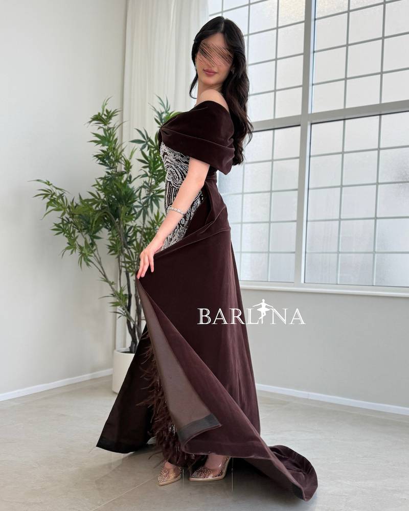 Brown velvet dress with sequin and feather details
