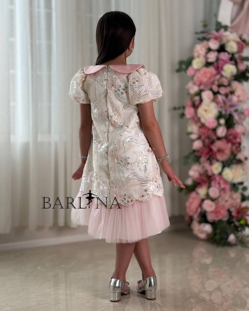 A girl's dress with elegant embroidery and a soft pink collar.