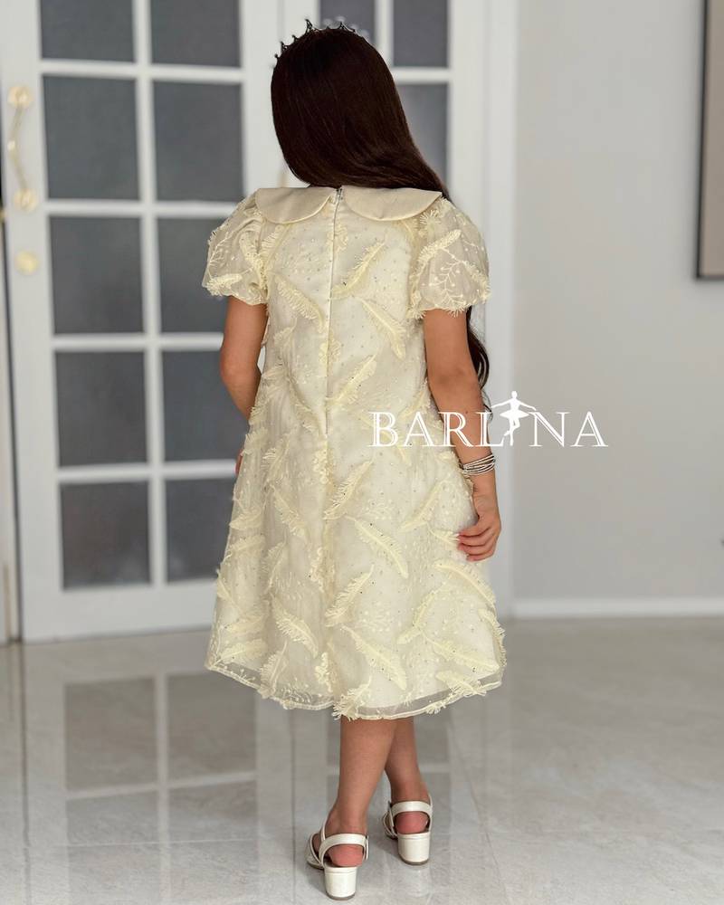 Elegant beige embroidered girls dress