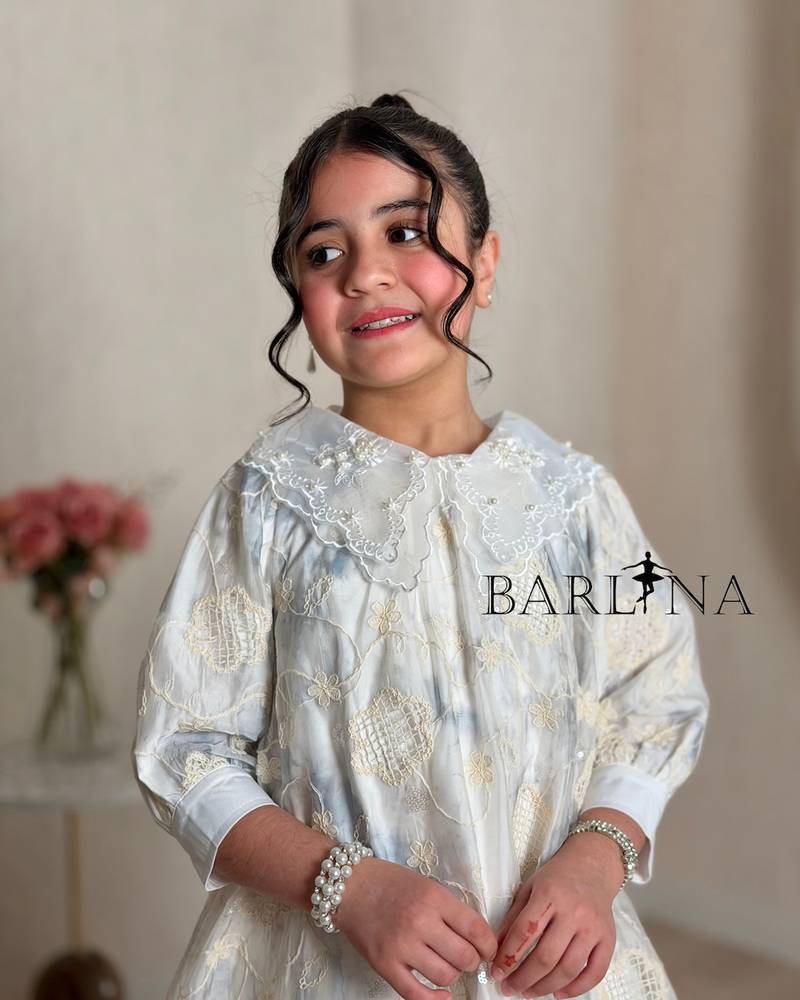 A girl's dress adorned with elegant embroidery