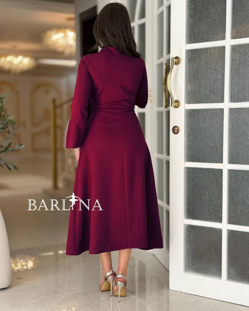 Burgundy dress with a formal collar and crystal embroidery
