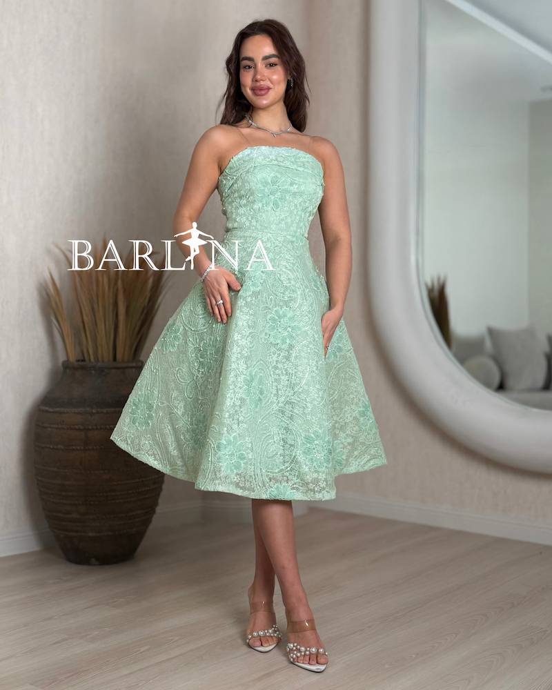 Elegant lace midi dress
