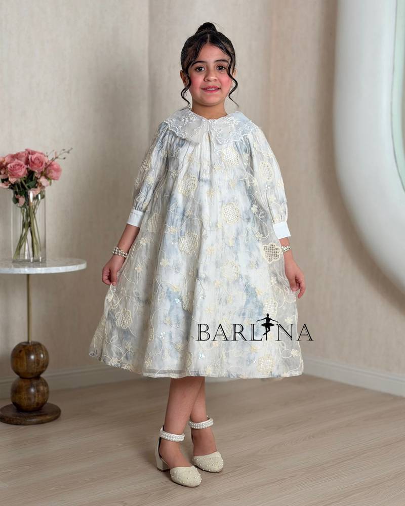 A girl's dress adorned with elegant embroidery