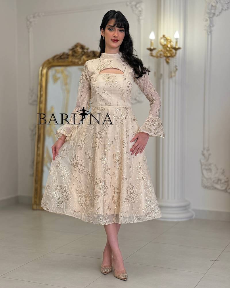 midi dress with luxurious gold embroidery