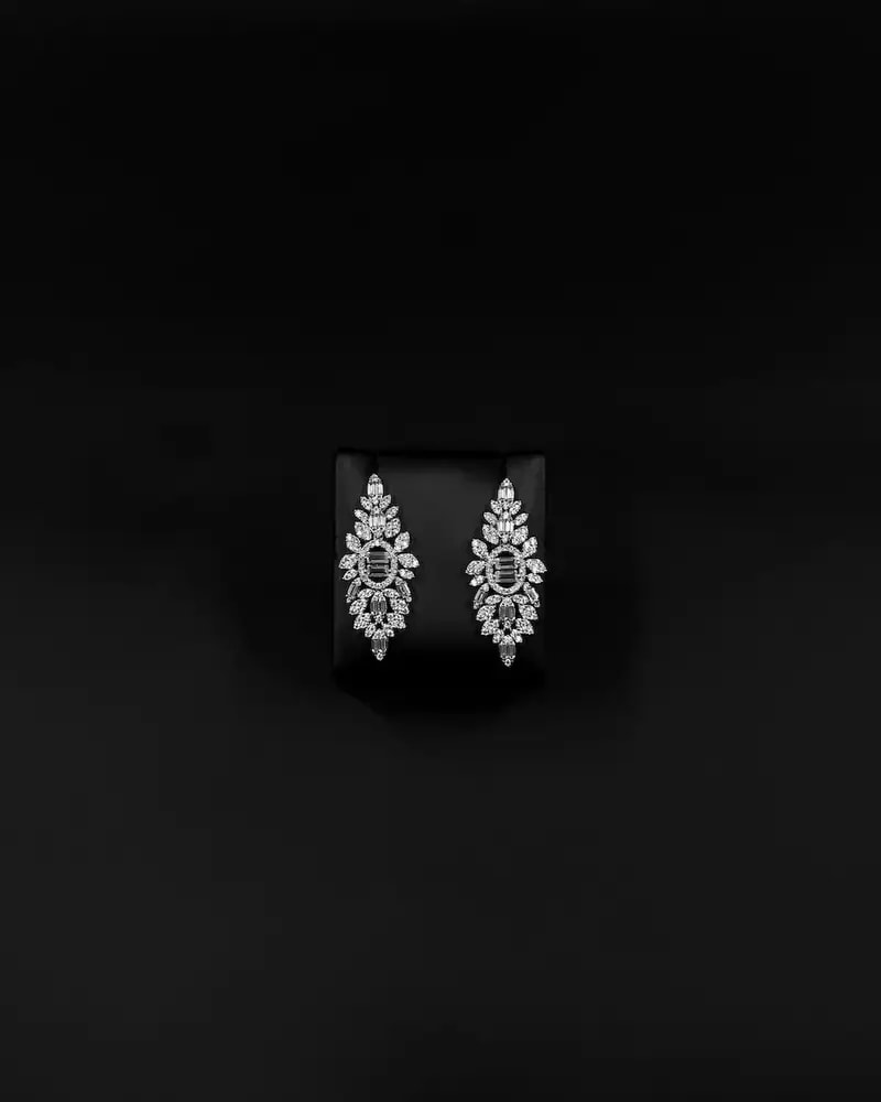 Earrings adorned with sparkling zircon stones