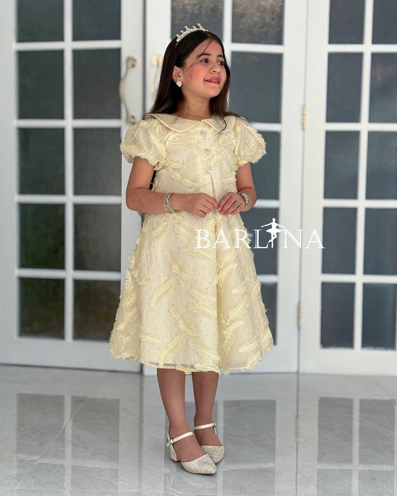 Elegant beige embroidered girls dress