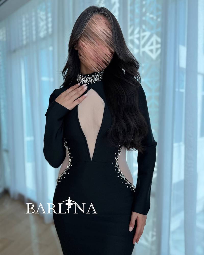 Dress with embroidered collar and sides
