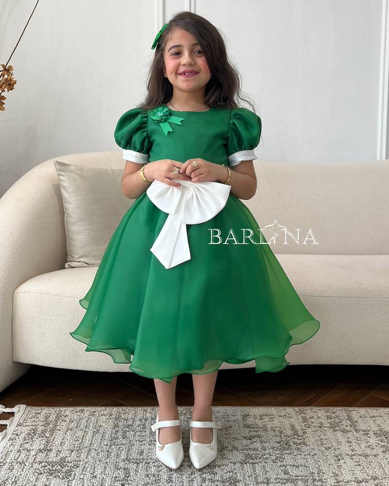 slim fit dress slacks Fit and flare green summer chiffon dresses 5144 – Xiaolizi main image 0