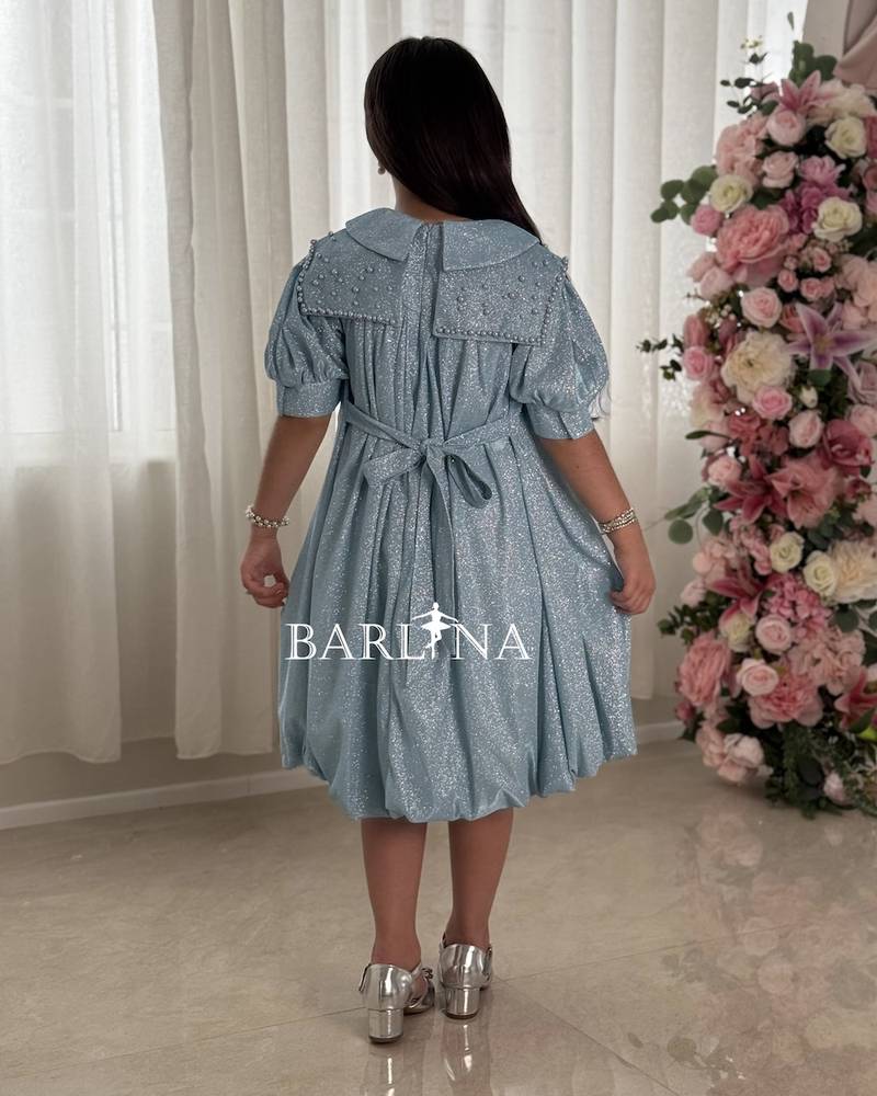 A sparkly girl's dress with a wide embroidered collar