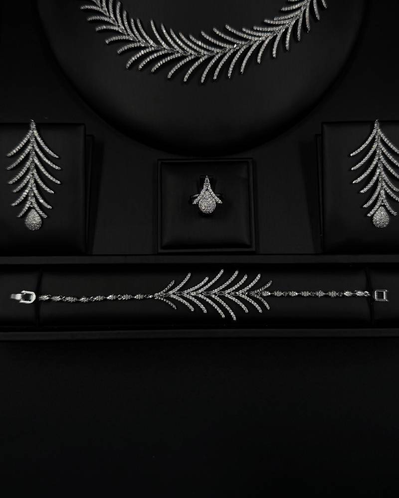A luxurious silver accessory set