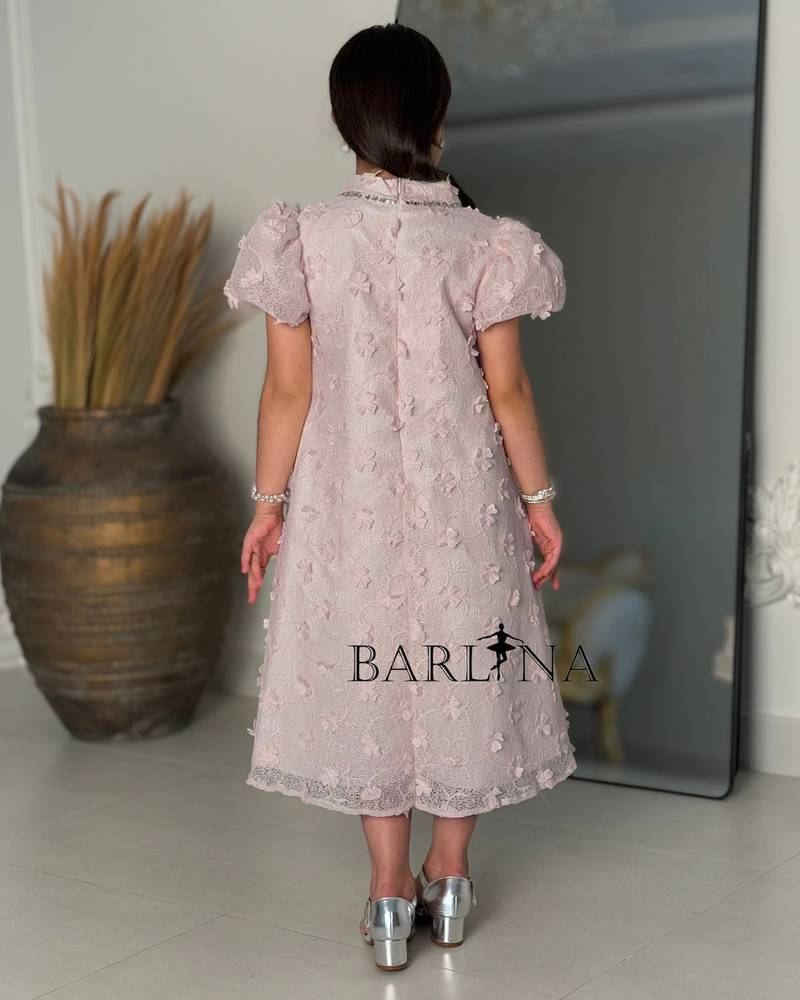 A light pink dress with delicate, elegant embroidery.