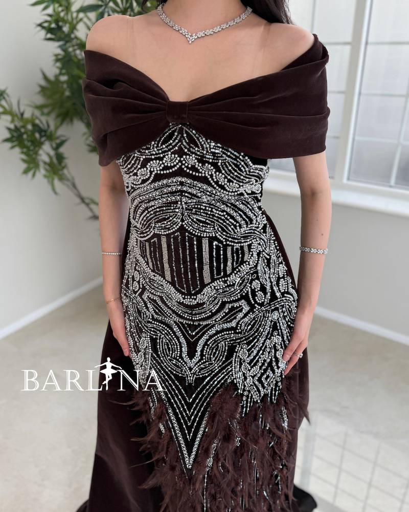 Brown velvet dress with sequin and feather details