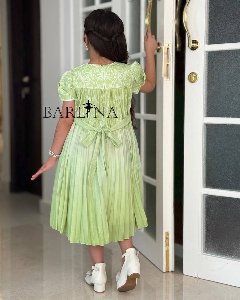 Girls' dress with pleats and ruffled sleeves
