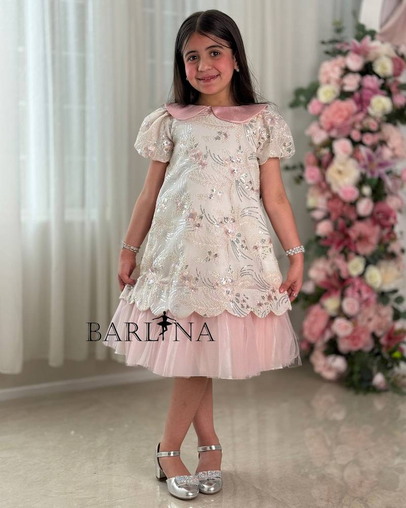 A girl's dress with elegant embroidery and a soft pink collar.