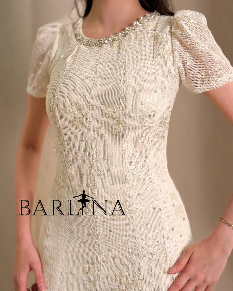 A soft and elegant dress embroidered with sequins