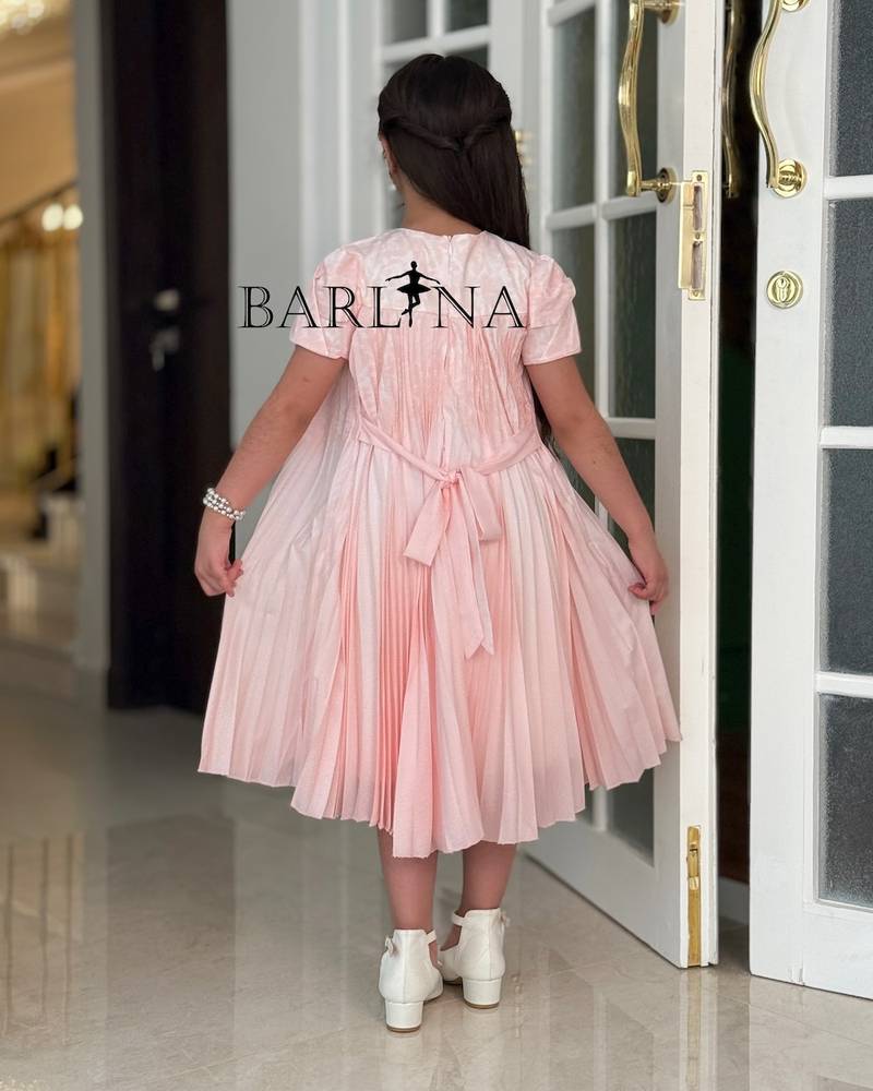Girls' dress with pleats and ruffled sleeves