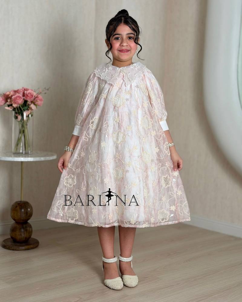A girl's dress adorned with elegant embroidery