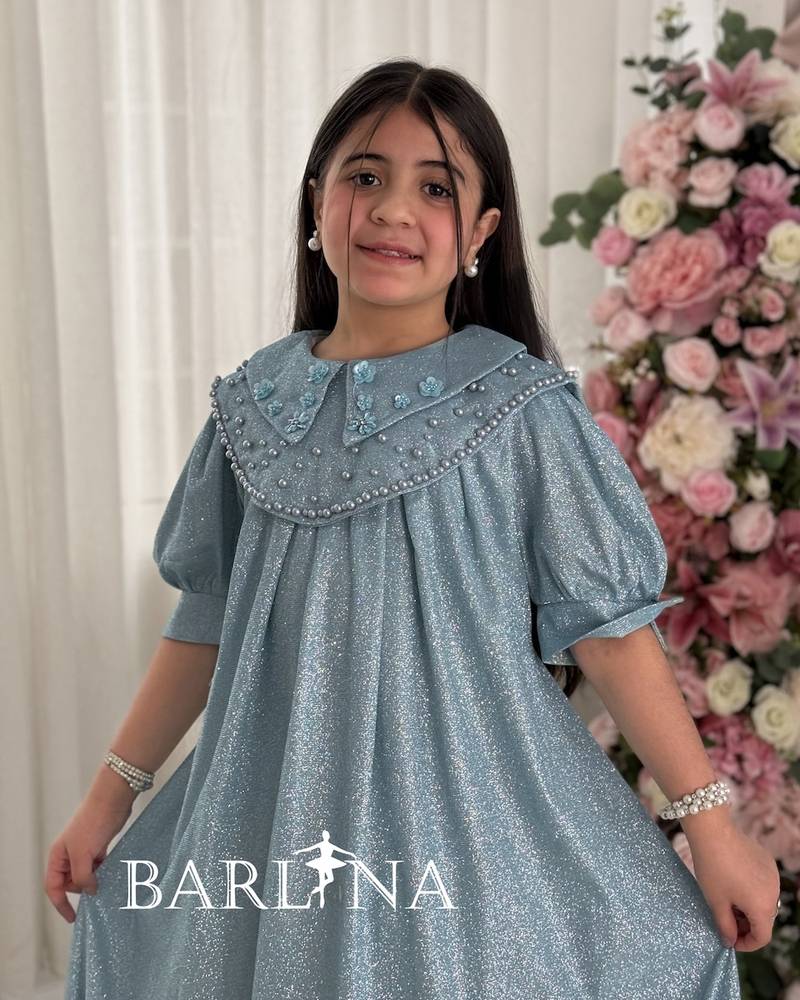 A sparkly girl's dress with a wide embroidered collar