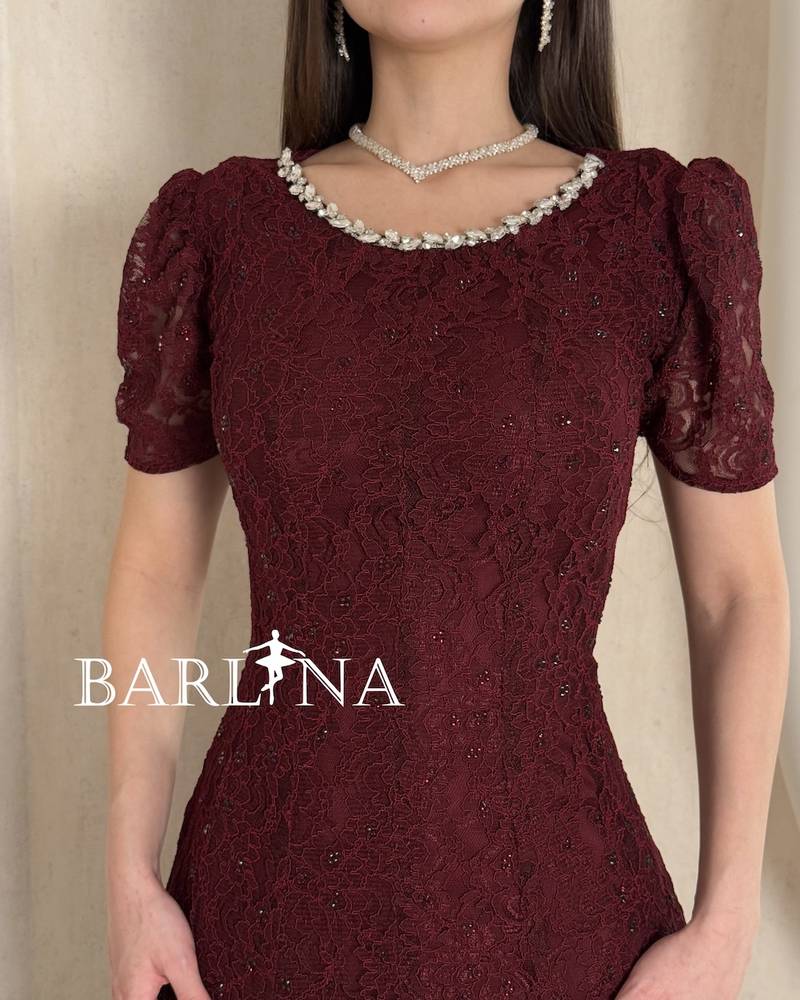 Burgundy dress with crystal embroidered neckline